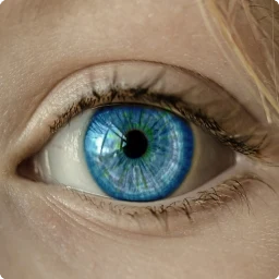 أيقونة شحذ صورة